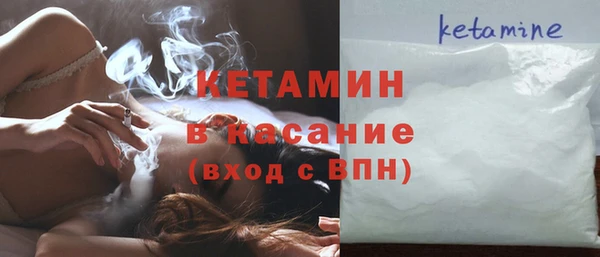 стаф Аркадак