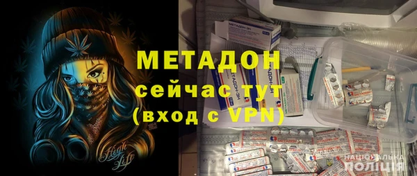 стаф Аркадак