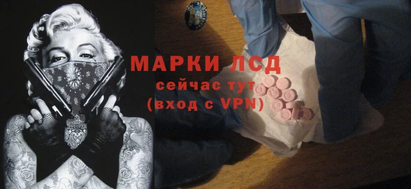 стаф Аркадак